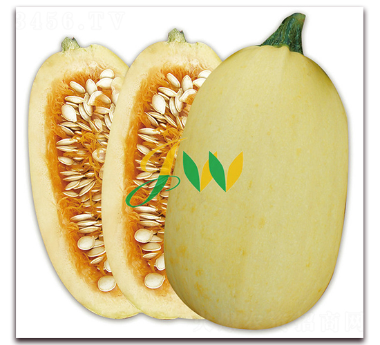 ���yԪ��-���������J�N��-�I(y��ng)�ھ���