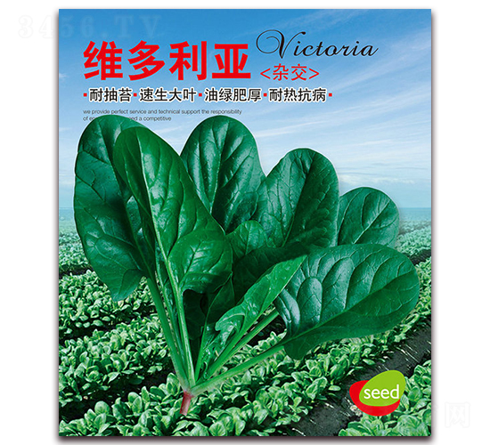 �S������-���˷N��-�I(y��ng)�ھ���