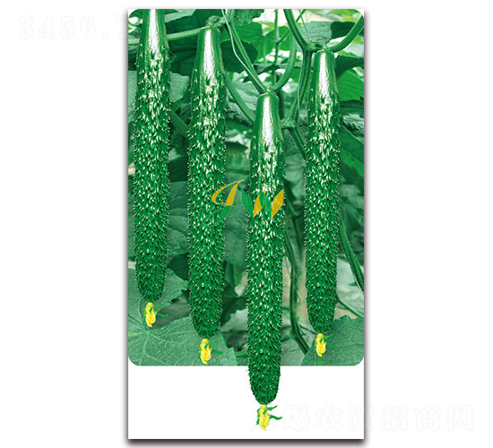 �n��100-�S�ϷN��-�I�ھ���