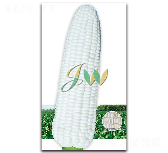 ���Ŵ808-�rʳ���׷N��-�I�ھ���