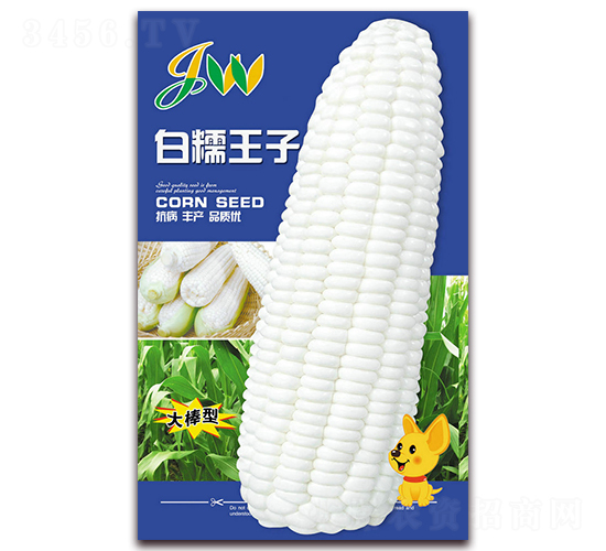 ��Ŵ����-�rʳ���׷N��-�I�ھ���