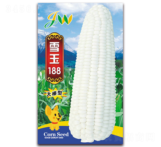 雪玉188-鮮食玉米種子-營(yíng)口君旺