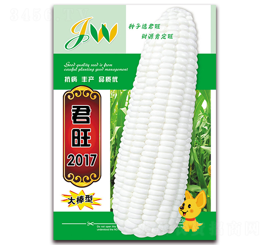 ����2017-�rʳ���׷N��-�I�ھ���