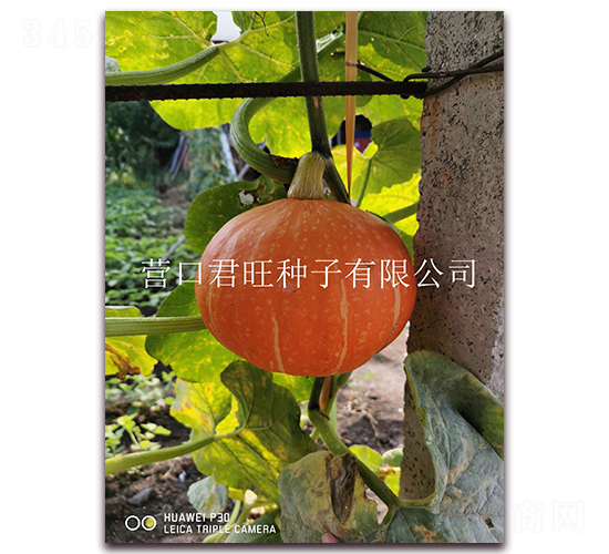 ��̫�2̖(h��o)-�ϹϷN��-�I(y��ng)�ھ���