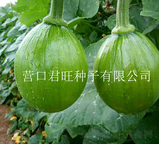 �n������-�ϹϷN��-�I�ھ���