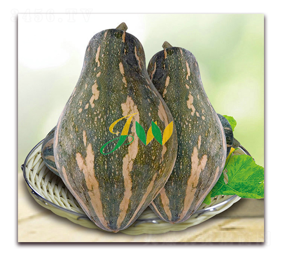 �����Ϲ�-�ϹϷN��-�I�ھ���