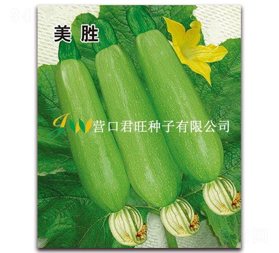 ����-�����J�N��-�I(y��ng)�ھ���