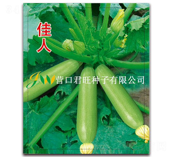 ����-�����J�N��-�I(y��ng)�ھ���