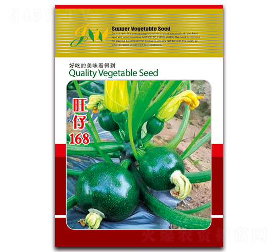 ����168-�����J�N��-�I�ھ���