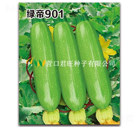 �G��901-�����J�N��-�I�ھ���