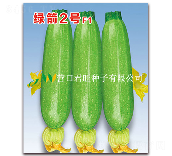 �G��2̖-�����J�N��-�I�ھ���