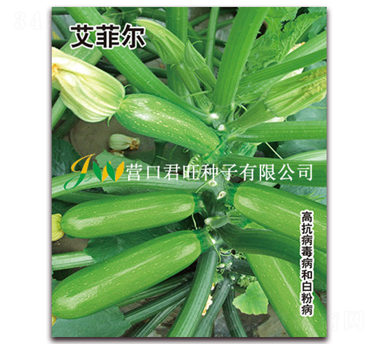 ���Ơ�-�����J�N��-�I�ھ���