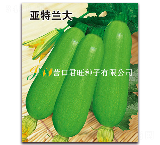 �����m��-�����J�N��-�I(y��ng)�ھ���