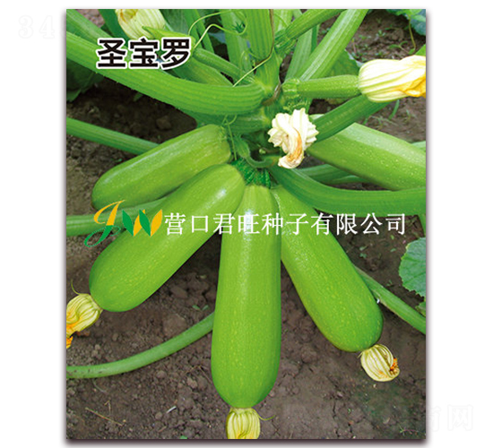 ʥ���_-�����J�N��-�I�ھ���