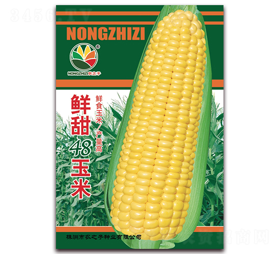 �r��48����-���׷N��-�r֮��