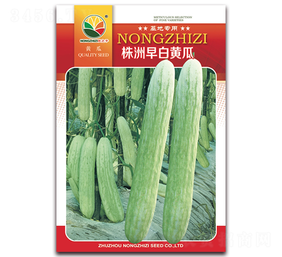 ��������S��-���S�ϷN��-�r(n��ng)֮��