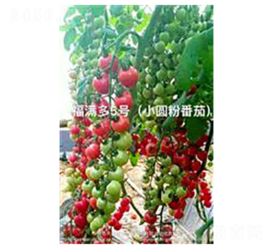 ���M��5̖(h��o)-���ҷ��ѷN��-��ػݝ�