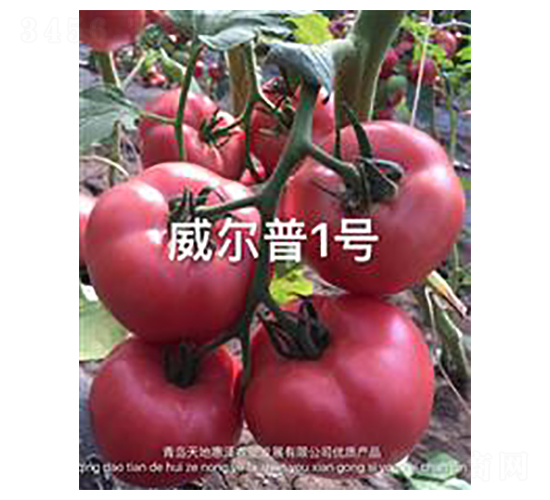 ������1̖-�۹����ѷN��-��ػݝ�