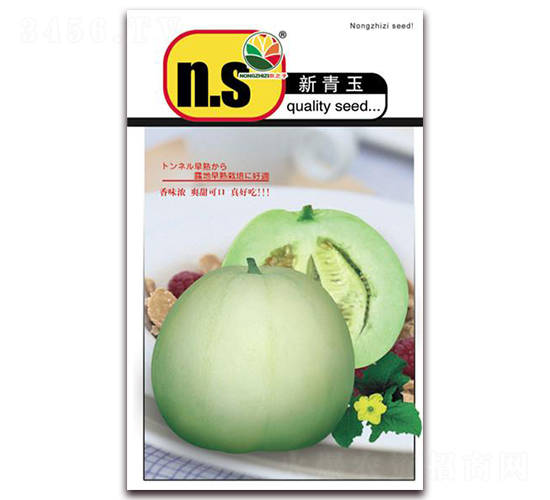 ������-��ϷN��-�r(n��ng)֮��