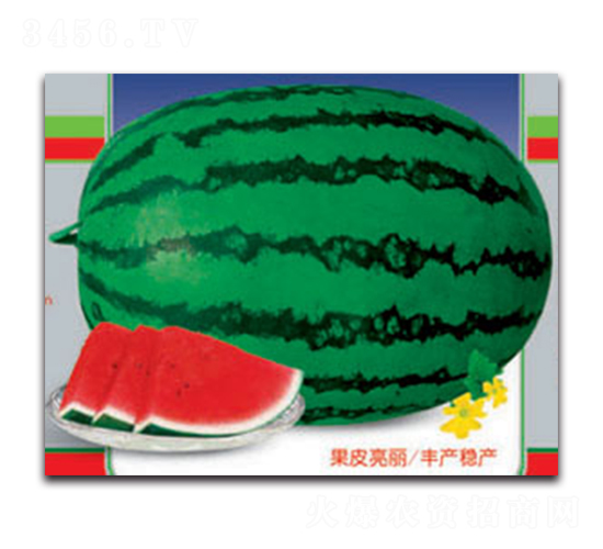 �޿���̖(h��o)-���ϷN��-����ӯ�r(n��ng)�I(y��)