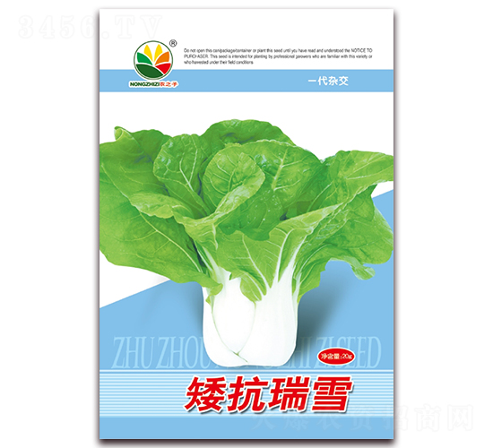 矮抗瑞雪-白菜種子-農(nóng)之子