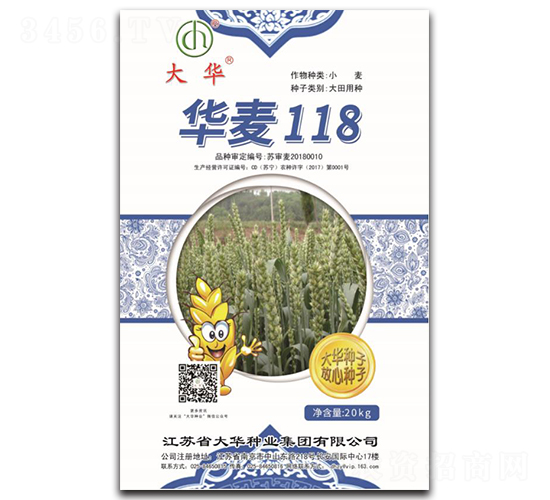 華麥118-小麥種子-大華種業(yè)