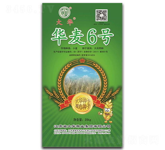 華麥6號(hào)-小麥種子-大華種業(yè)