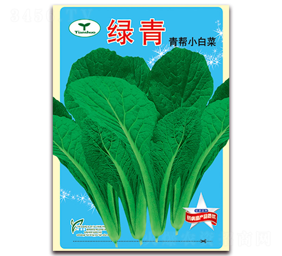 綠青-小白菜種子-天星種業(yè)