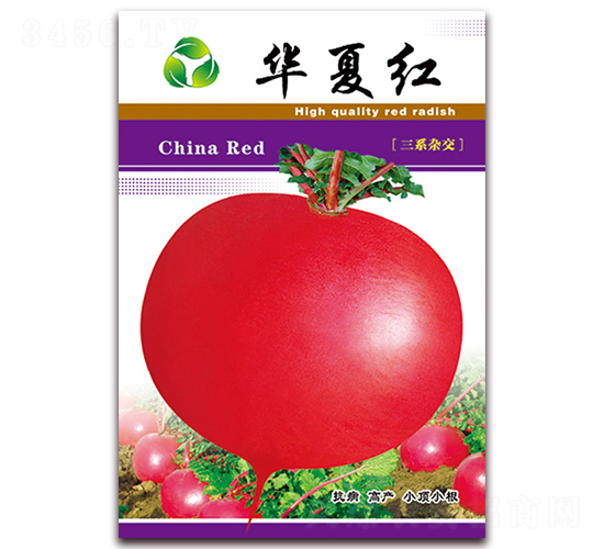 �A�ļt-�}���N��-���ǷN�I(y��)