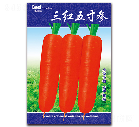 ���t��煢-�}���N��-���ǷN�I(y��)