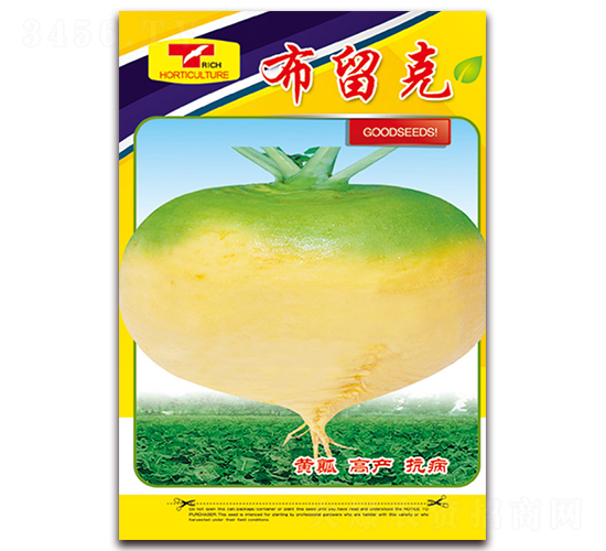 ������-�}���N��-���ǷN�I(y��)