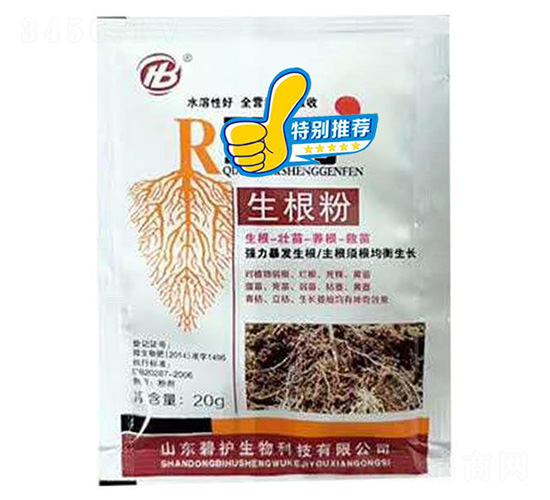 ������-���o����