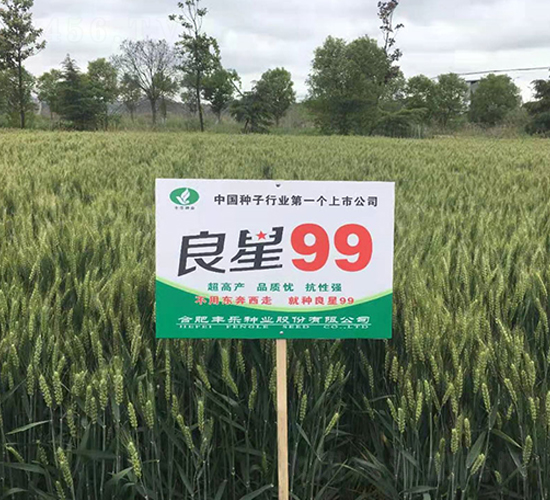 ����99-С���N��-�S��(l��)�N�I(y��)