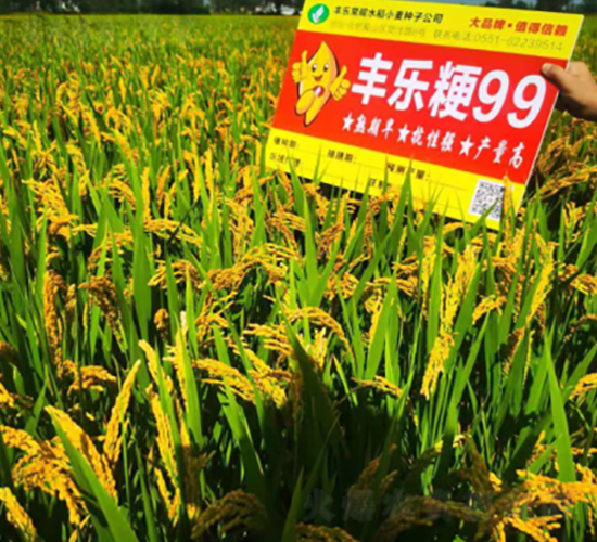 �S����99-ˮ���N��-�S���N�I(y��)