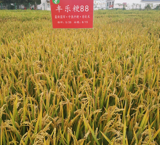 �S����88-ˮ���N��-�S���N�I(y��)