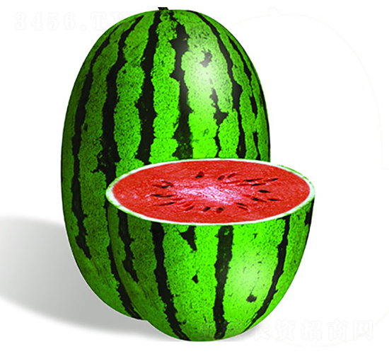 �S����̖-���ϷN��-�S���N�I(y��)