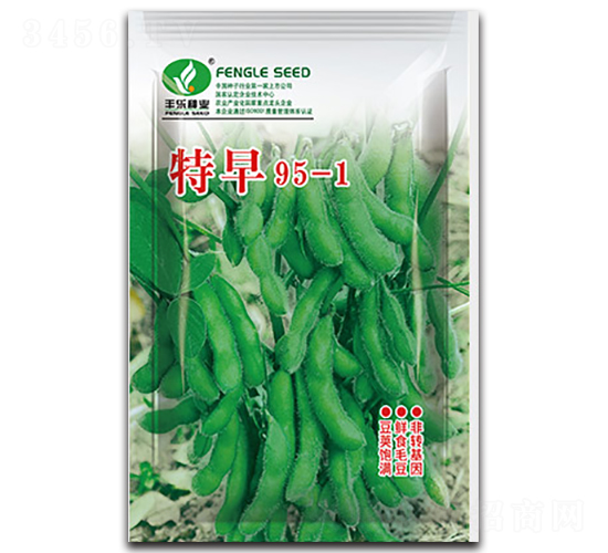 ����95-1-�S���N��-�S���N�I(y��)