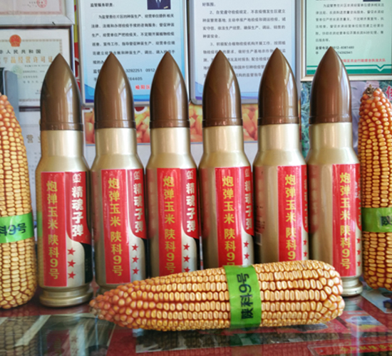 ꃿ�9̖(h��o)-���׷N��-�S��(l��)�N�I(y��)