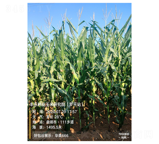 �A�W666-���׷N��-�S���N�I(y��)