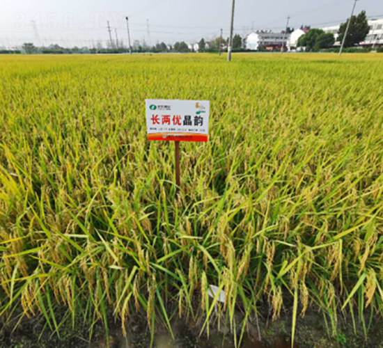 �L(zh��ng)�Ƀ�(y��u)���-ˮ���N��-�S��(l��)�N�I(y��)