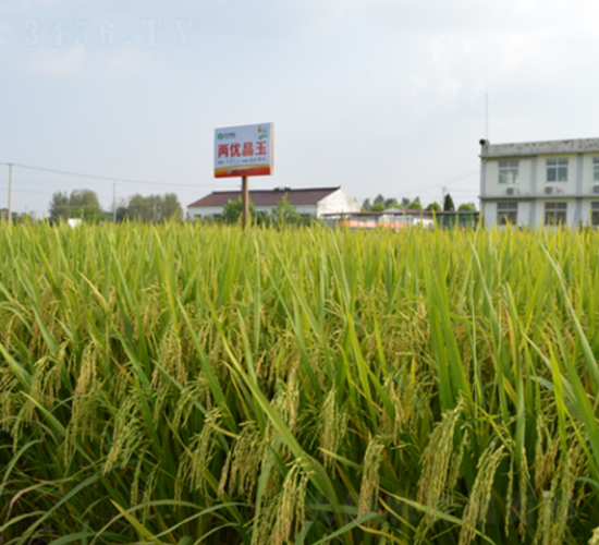 �Ƀ�(y��u)����-ˮ���N��-�S���N�I(y��)