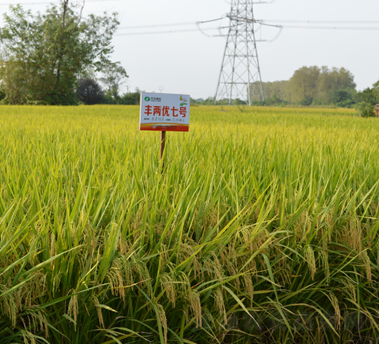 �S�Ƀ�(y��u)��̖(h��o)-ˮ���N��-�S���N�I(y��)