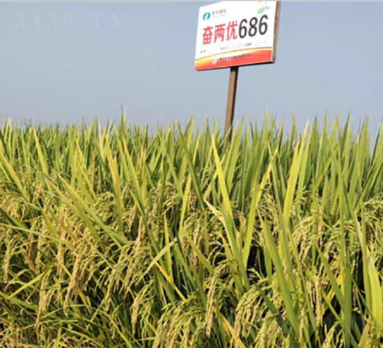 �^�Ƀ�(y��u)686-ˮ���N��-�S���N�I(y��)