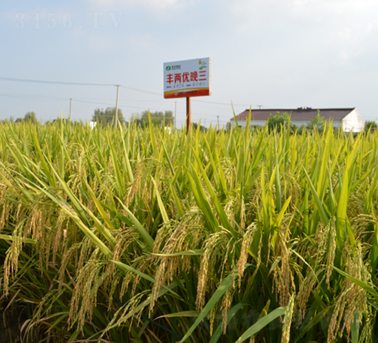 �S�Ƀ�(y��u)����-ˮ���N��-�S���N�I(y��)