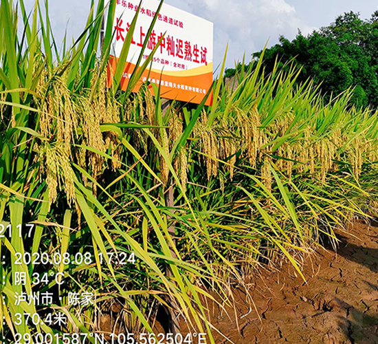 ������(y��u)2117-ˮ���N��-�S��(l��)�N�I(y��)