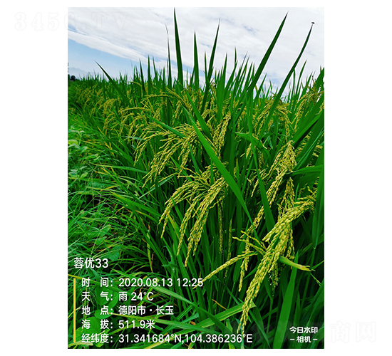 �؃�(y��u)33-ˮ���N��-�S���N�I(y��)