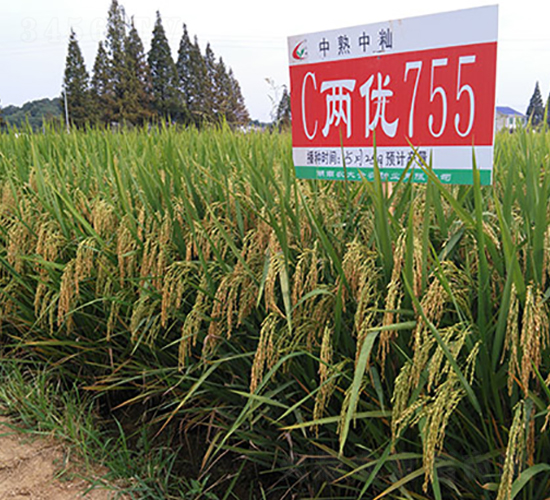 C�Ƀ�(y��u)755-ˮ���N��-�S���N�I(y��)