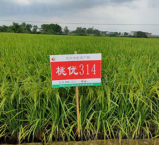 �҃�(y��u)314-ˮ���N��-�S���N�I(y��)