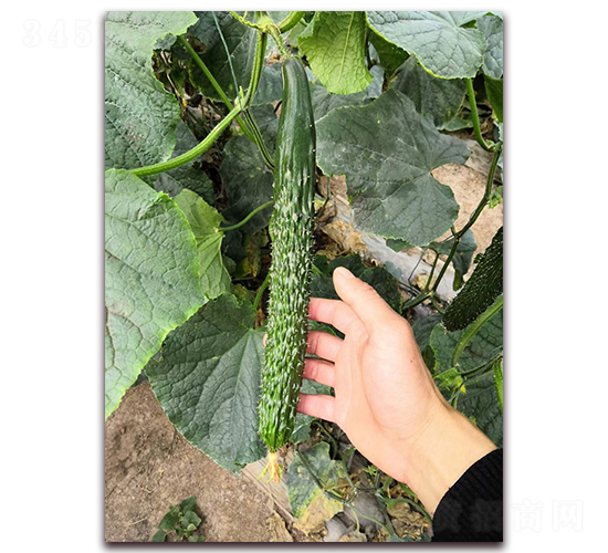 Ǭ��15-�S�ϷN��-Ǭ�·N�I(y��)