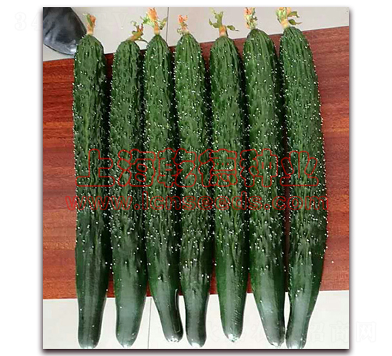 Ǭ��777-�S�ϷN��-Ǭ�·N�I(y��)